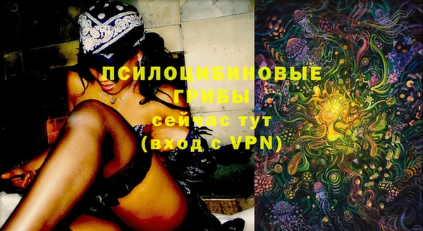 гидропоника Балабаново